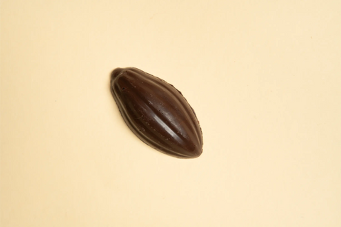 Mazorca